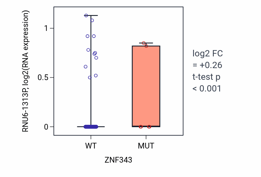 Box plot of RNU6-1313P in ZNF343-low vs ZNF343-high samples in LUSC.