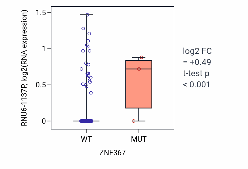 Box plot of RNU6-1137P in ZNF367-low vs ZNF367-high samples in LUAD.