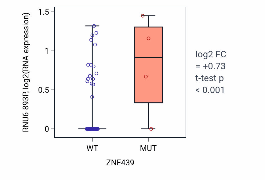 Box plot of RNU6-893P in ZNF439-low vs ZNF439-high samples in READ.