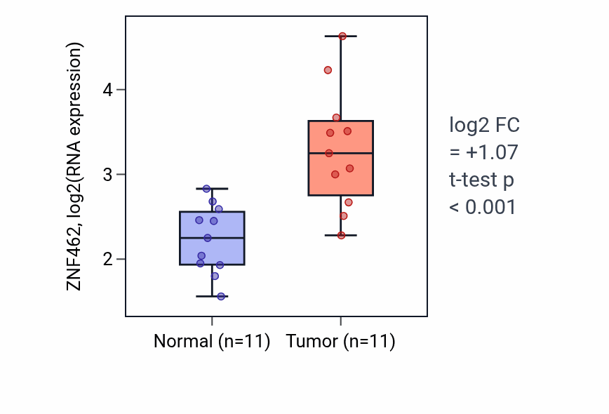 Tumor-vs-normal expression box plot for ZNF462 RNA in KIRP.