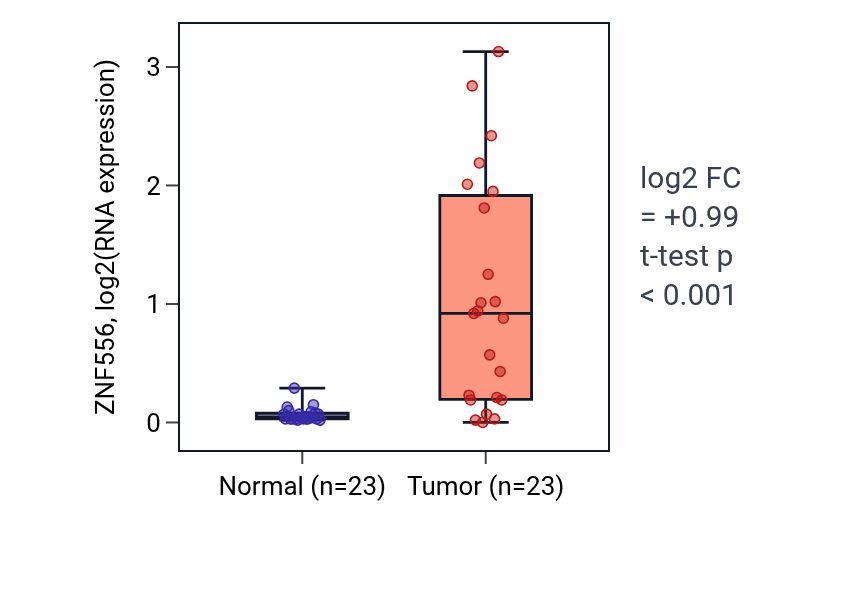 Tumor-vs-normal expression box plot for ZNF556 RNA in LUSC.