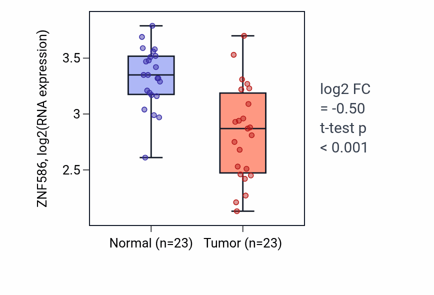 Tumor-vs-normal expression box plot for ZNF586 RNA in THCA.