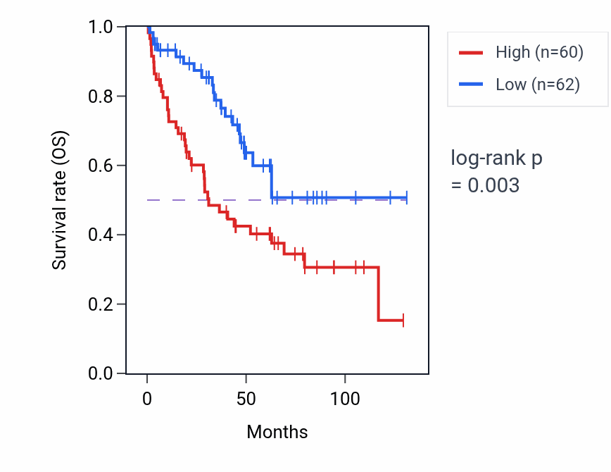 Kaplan&ndash;Meier survival curve for ZNF593 RNA-high vs -low samples in KIRC.