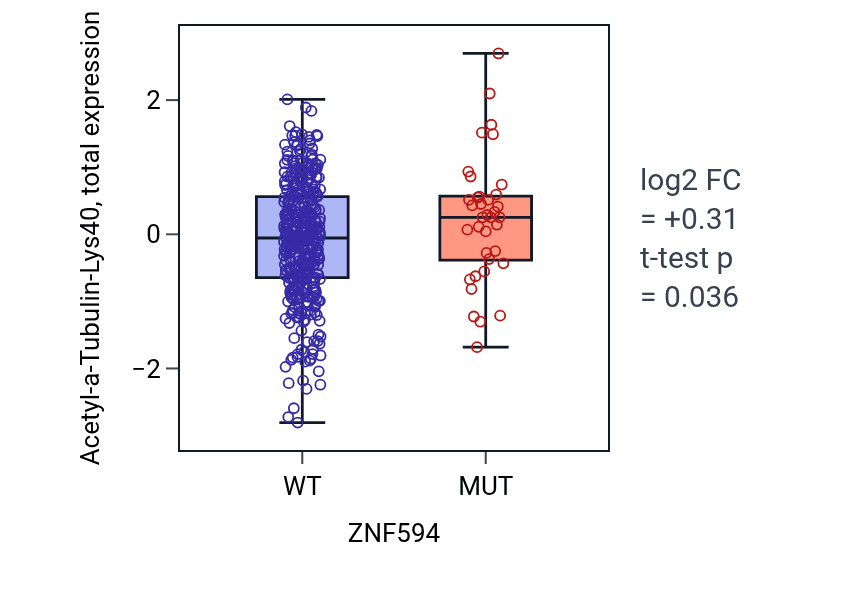 Box plot of Acetyl-a-Tubulin-Lys40 in ZNF594-low vs ZNF594-high samples in UCEC.
