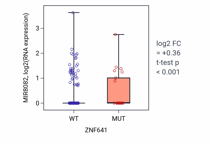 Box plot of MIR8082 in ZNF641-low vs ZNF641-high samples in UCEC.