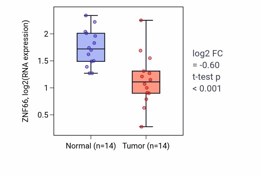Tumor-vs-normal expression box plot for ZNF66 RNA in THCA.