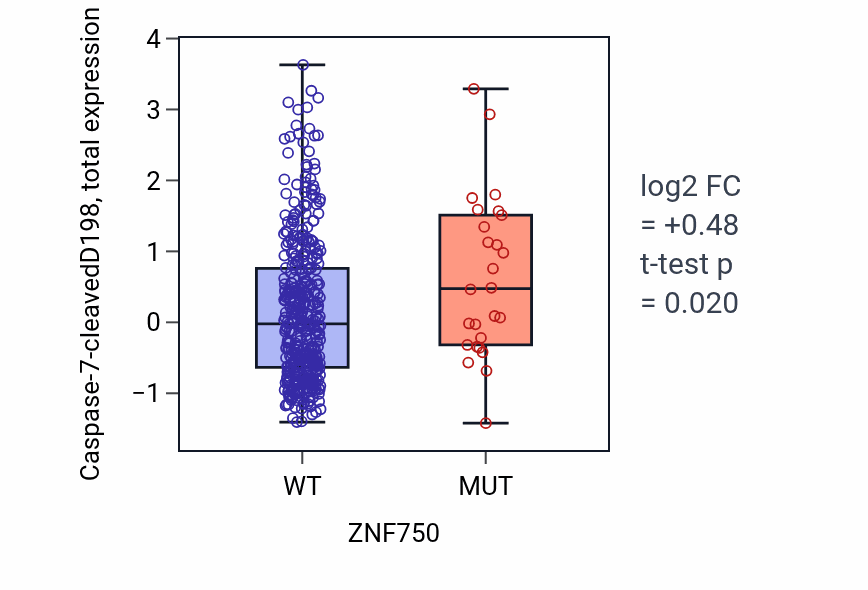Box plot of Caspase-7-cleavedD198 in ZNF750-low vs ZNF750-high samples in UCEC.