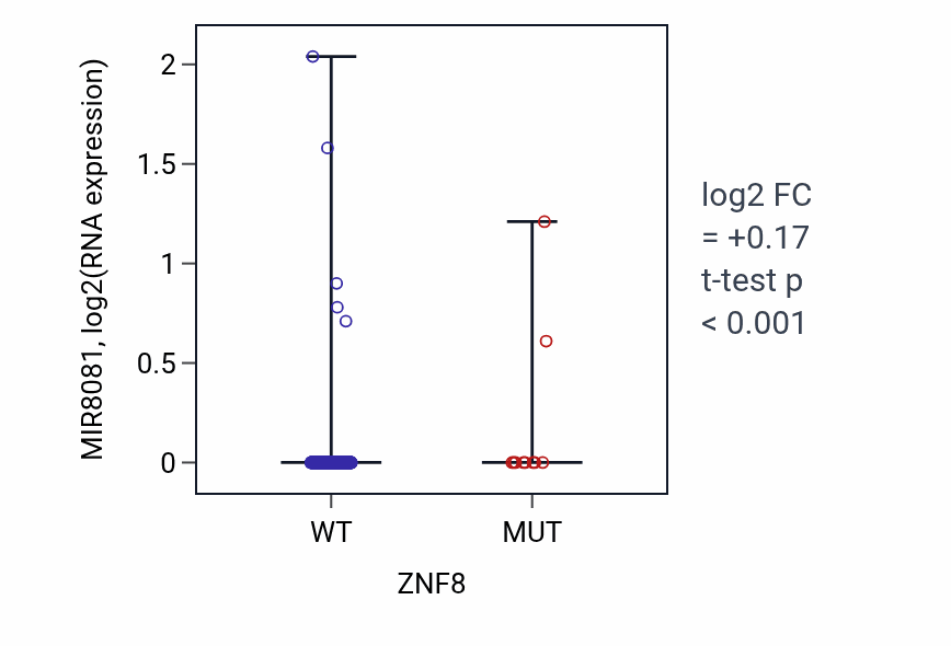 Box plot of MIR8081 in ZNF8-low vs ZNF8-high samples in COAD.