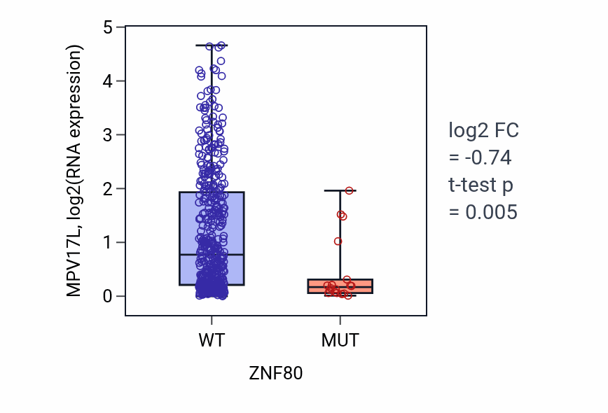 Box plot of MPV17L in ZNF80-low vs ZNF80-high samples in SKCM.
