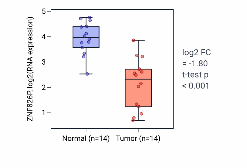 Tumor-vs-normal expression box plot for ZNF826P in THCA.