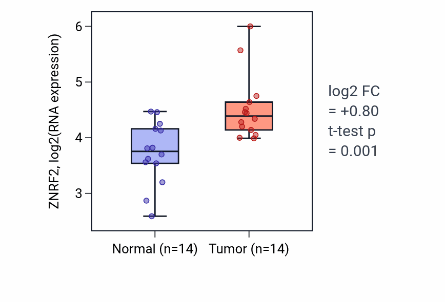 Tumor-vs-normal expression box plot for ZNRF2 RNA in BLCA.