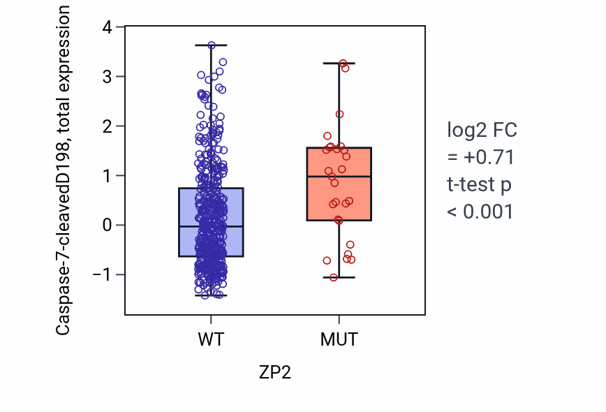 Box plot of Caspase-7-cleavedD198 in ZP2-low vs ZP2-high samples in UCEC.
