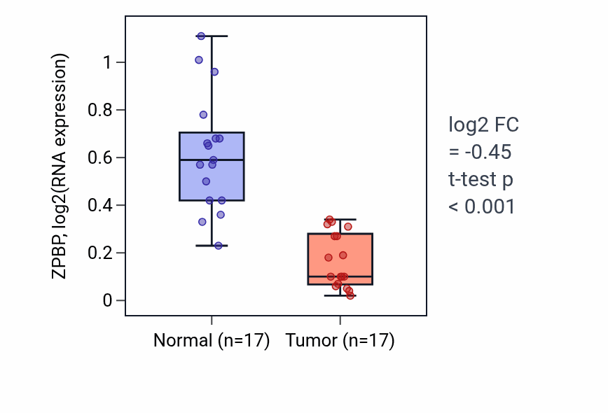 Tumor-vs-normal expression box plot for ZPBP RNA in THCA.