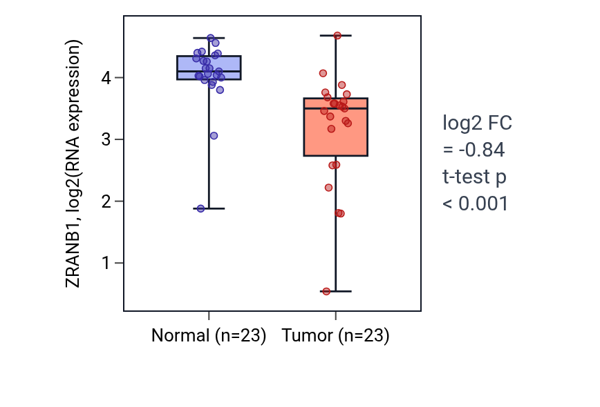 Tumor-vs-normal expression box plot for ZRANB1 in THCA.