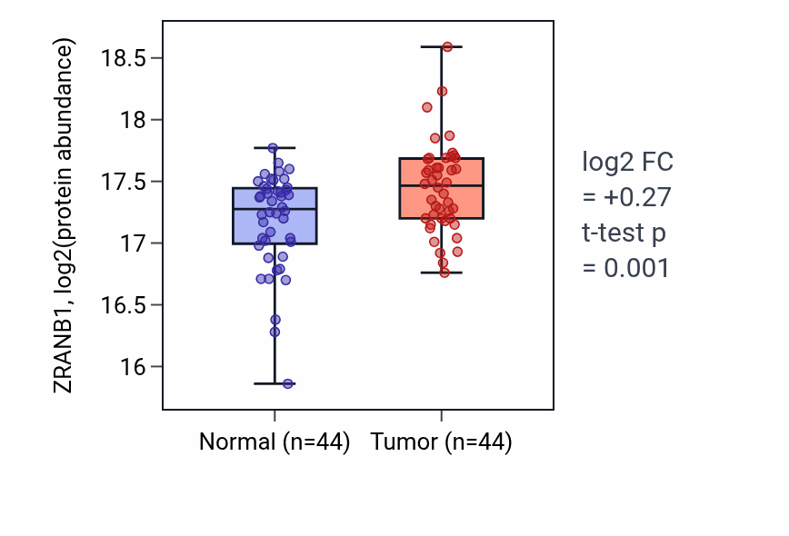 Tumor-vs-normal mass-spec protein box plot for ZRANB1 in LSCC.