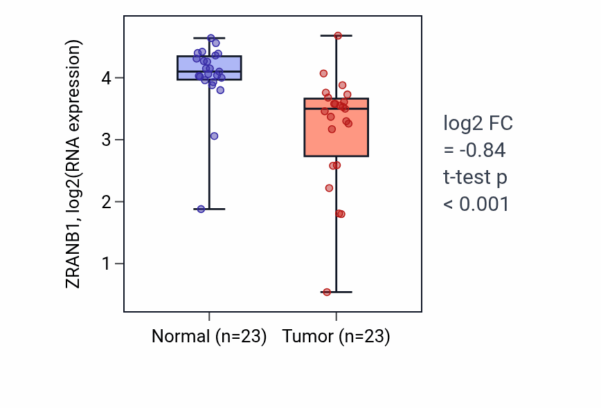 Tumor-vs-normal expression box plot for ZRANB1 RNA in THCA.