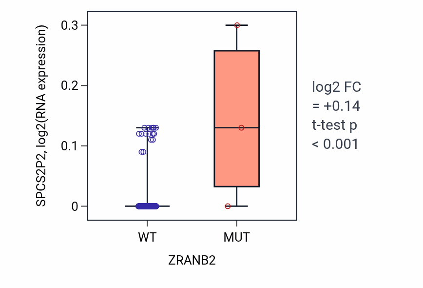Box plot of SPCS2P2 in ZRANB2-low vs ZRANB2-high samples in SKCM.