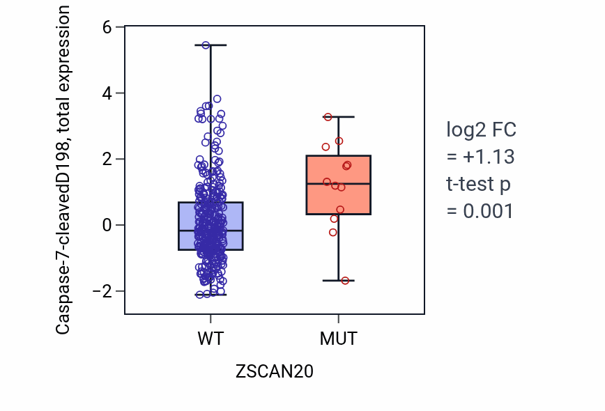 Box plot of Caspase-7-cleavedD198 in ZSCAN20-low vs ZSCAN20-high samples in COAD.