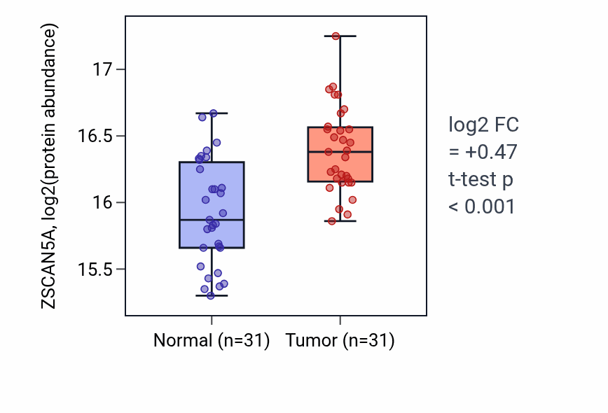 Tumor-vs-normal mass-spec protein box plot for ZSCAN5A in LSCC.