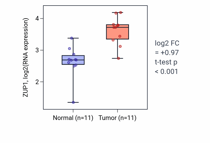 Tumor-vs-normal expression box plot for ZUP1 RNA in HNSC.