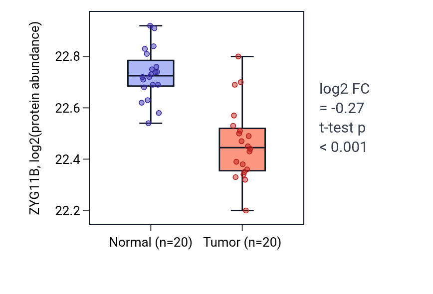 Tumor-vs-normal mass-spec protein box plot for ZYG11B in LSCC.