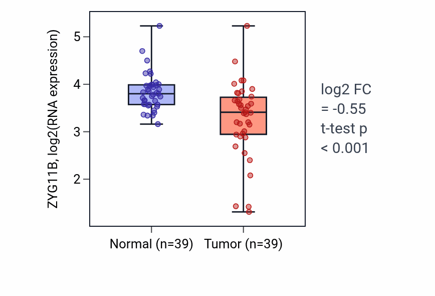 Tumor-vs-normal expression box plot for ZYG11B RNA in COAD.