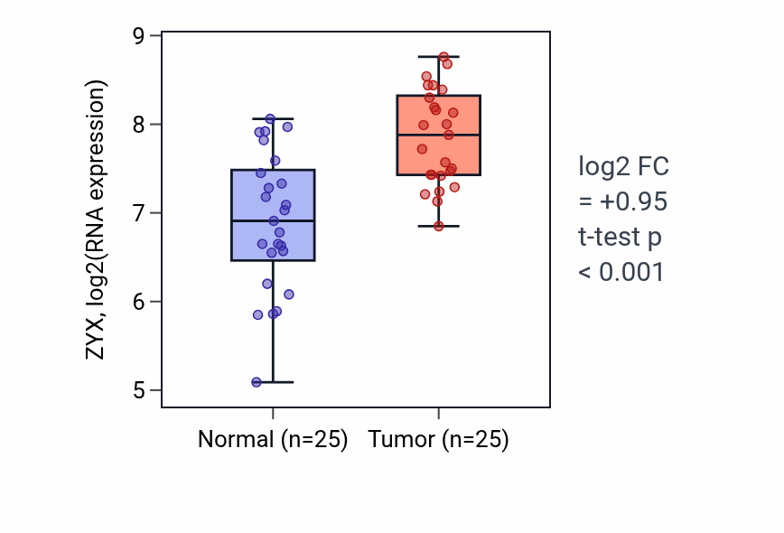 Tumor-vs-normal expression box plot for ZYX RNA in HNSC.