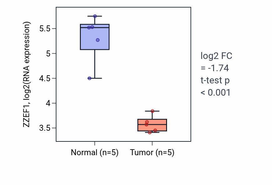 Tumor-vs-normal expression box plot for ZZEF1 RNA in COAD.