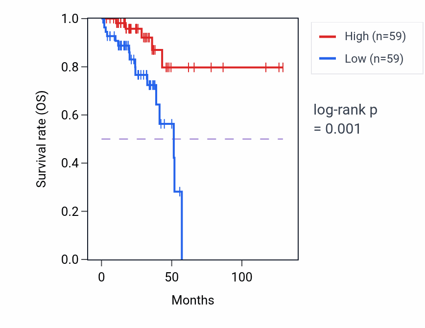 Kaplan&ndash;Meier survival curve for Ribosomal subunit export from nucleus pathway activity in READ: high vs low activity groups.