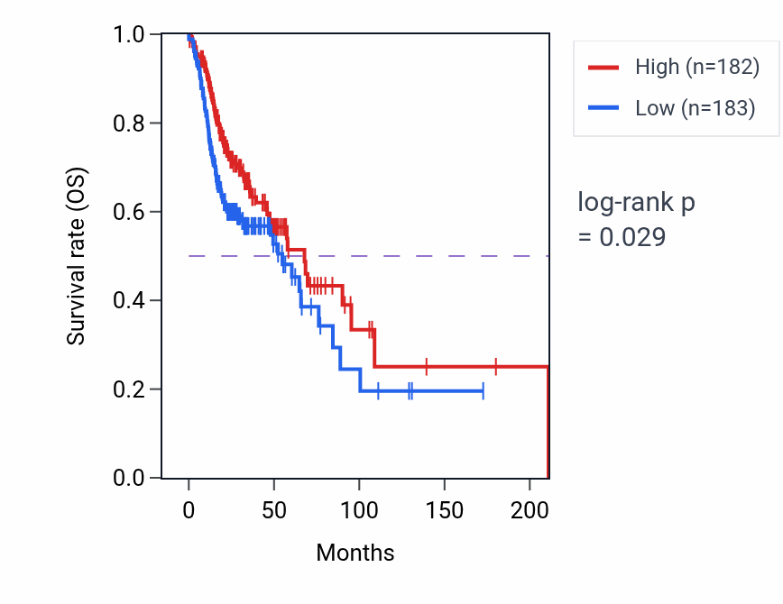 Kaplan&ndash;Meier survival curve for Autophagy of mitochondrion pathway activity in HNSC: high vs low activity groups.