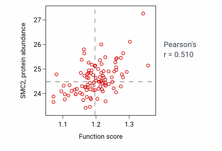 Per-sample scatter of DNA synthesis involved in DNA repair activity vs SMC2 in GBM.