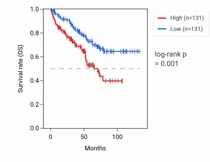 Kaplan&ndash;Meier survival curve for Mitochondrial RNA processing pathway activity in KIRC: high vs low activity groups.