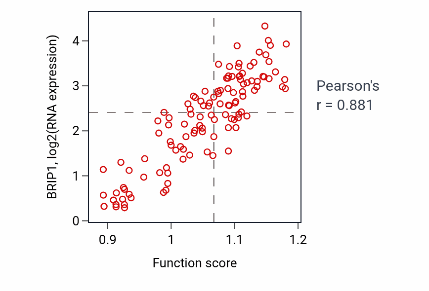 Per-sample scatter of Formation of extrachromosomal circular DNA activity vs BRIP1 in THYM.