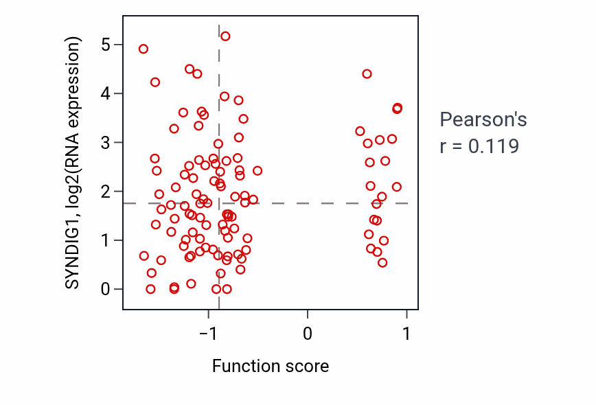 Per-sample scatter of Cartilage condensation activity vs SYNDIG1 in HNSC.
