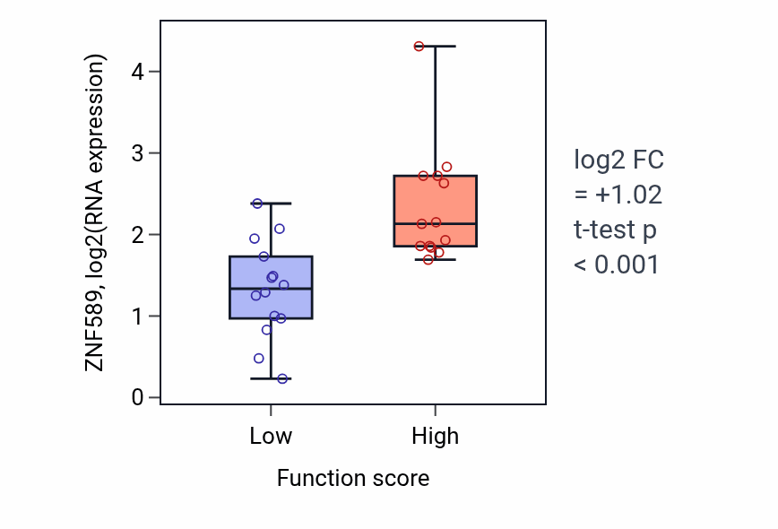 Box plot of ZNF589 in RNA methylation-low vs -high samples in KIDNEY.