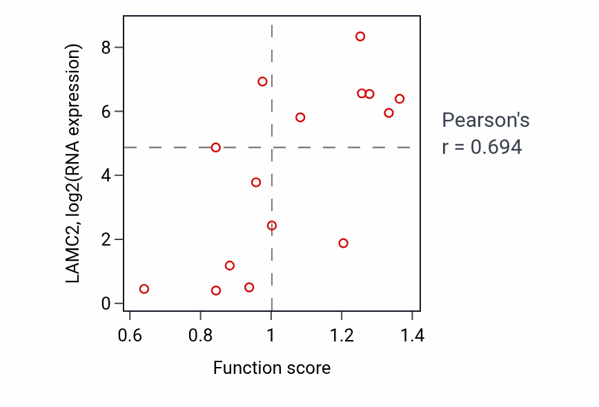 Per-sample scatter of Regulation of receptor recycling activity vs LAMC2 in KIDNEY.