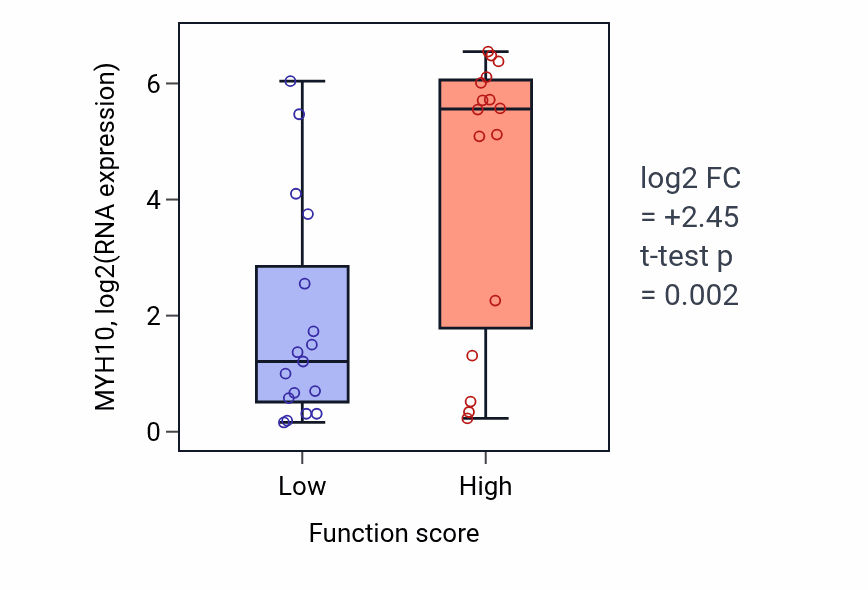 Box plot of MYH10 in Negative regulation of endothelial cell proliferation-low vs -high samples in BLOOD_Leukemia.