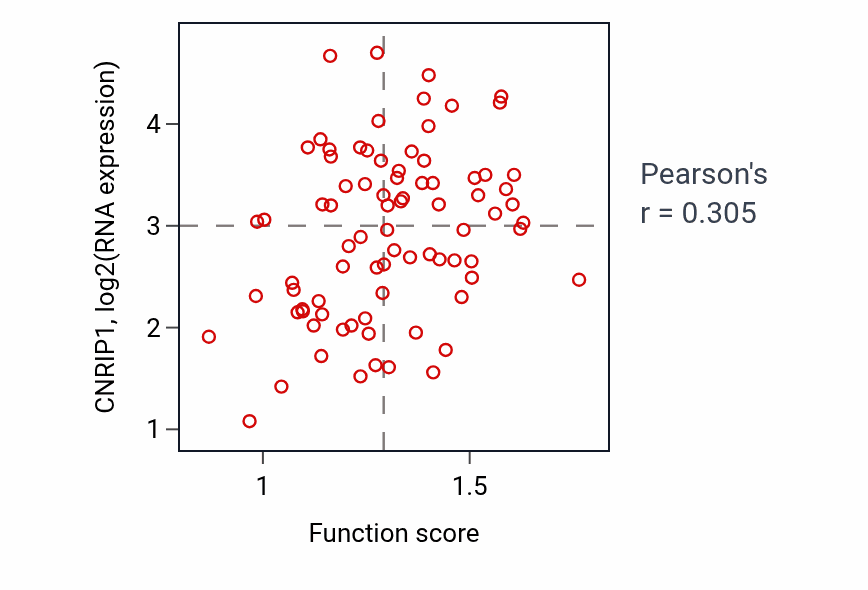 Per-sample scatter of Negative regulation of endothelial cell proliferation activity vs CNRIP1 in OV.
