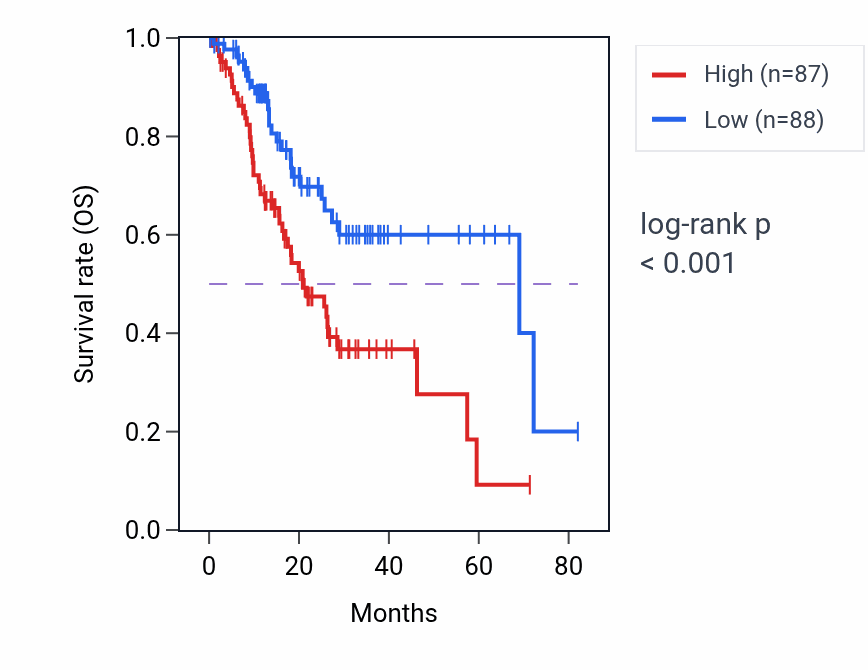 Kaplan&ndash;Meier survival curve for Negative regulation of endothelial cell proliferation pathway activity in STAD: high vs low activity groups.