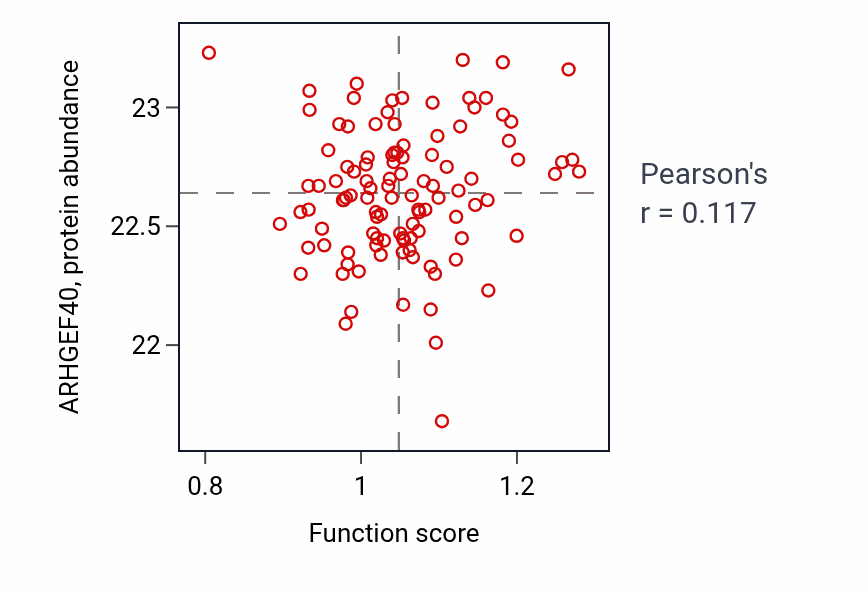 Per-sample scatter of Lens morphogenesis in camera-type eye activity vs ARHGEF40 in HNSC.