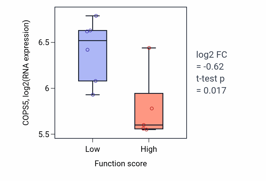 Box plot of COPS5 in Cytoplasmic translation-low vs -high samples in BLOOD_Lymphoma.