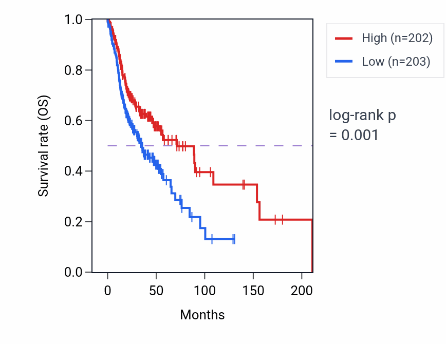 Kaplan&ndash;Meier survival curve for Positive regulation of antigen processing and presentation pathway activity in HNSC: high vs low activity groups.