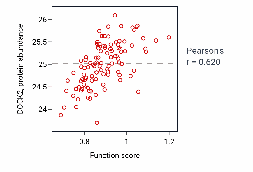 Per-sample scatter of Positive regulation of T cell tolerance induction activity vs DOCK2 in LSCC.