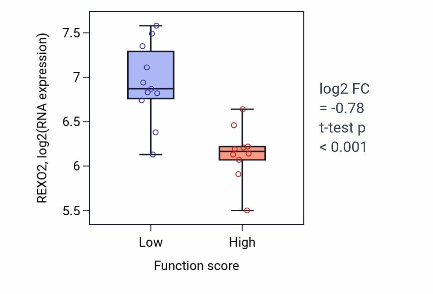 Box plot of REXO2 in Respiratory system process-low vs -high samples in STOMACH.