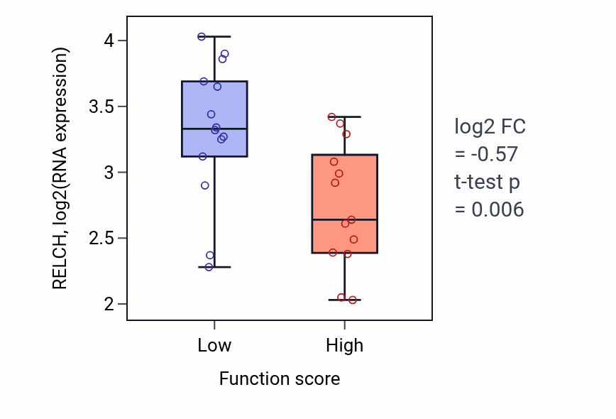 Box plot of RELCH in Heart field specification-low vs -high samples in KIDNEY.