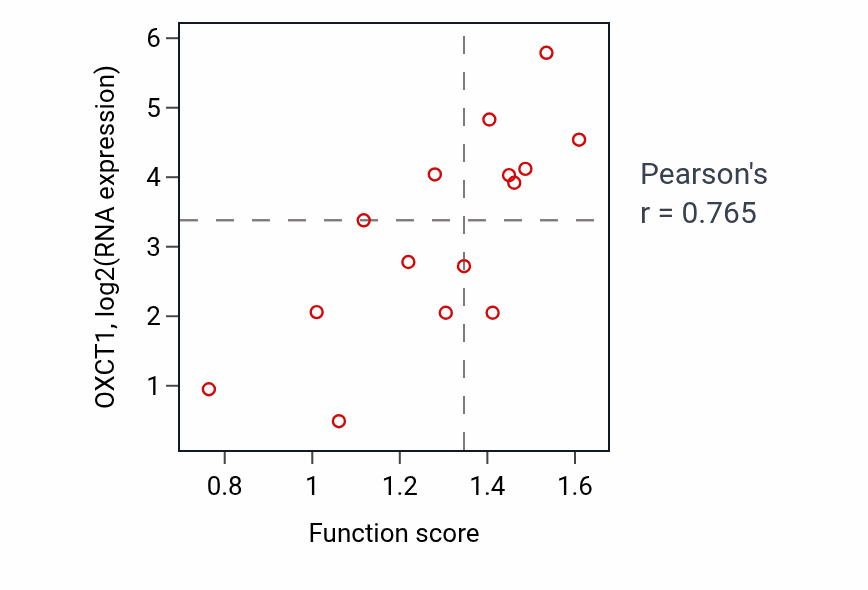 Per-sample scatter of Morphogenesis of an endothelium activity vs OXCT1 in KIDNEY.