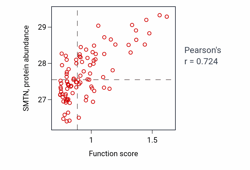 Per-sample scatter of Positive regulation of blood pressure by epinephrine-norepinephrine activity vs SMTN in COAD.