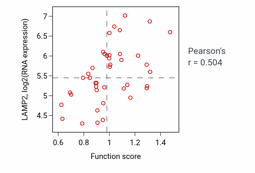 Per-sample scatter of Amino acid transmembrane transport activity vs LAMP2 in LARGE_INTESTINE.
