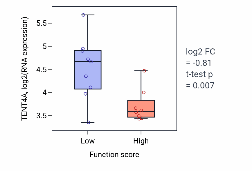 Box plot of TENT4A in Retinal pigment epithelium development-low vs -high samples in LIVER.