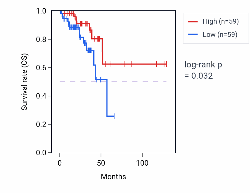 Kaplan&ndash;Meier survival curve for Succinate metabolic process pathway activity in READ: high vs low activity groups.